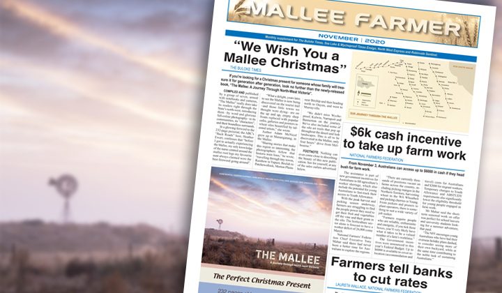 NOVEMBER - Friday, November 13, 2020