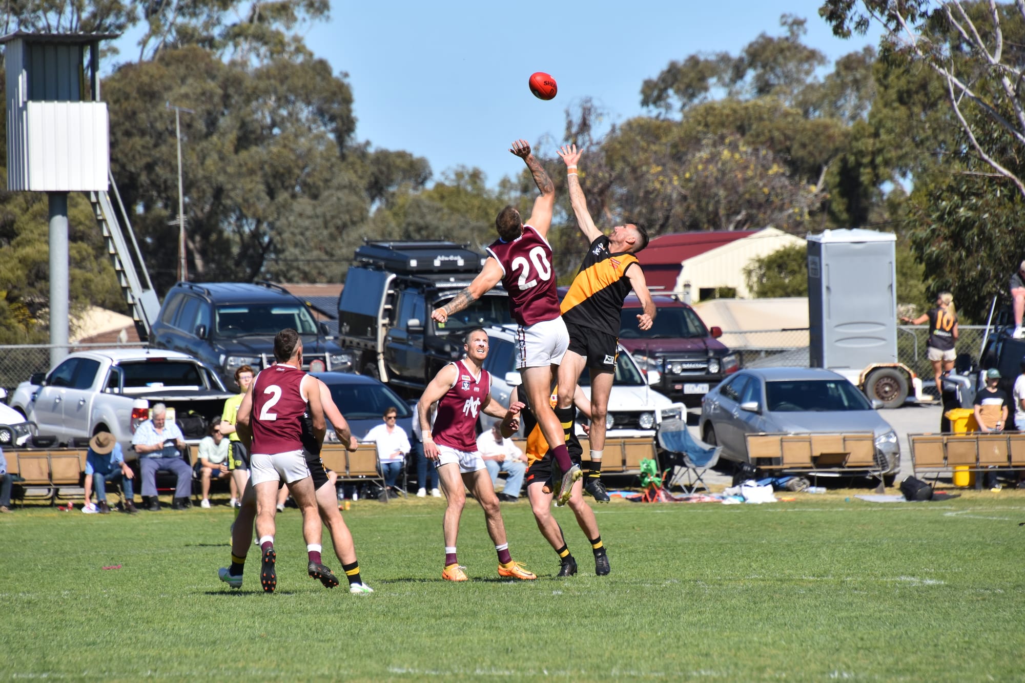 Tigers, Premiers and Champions