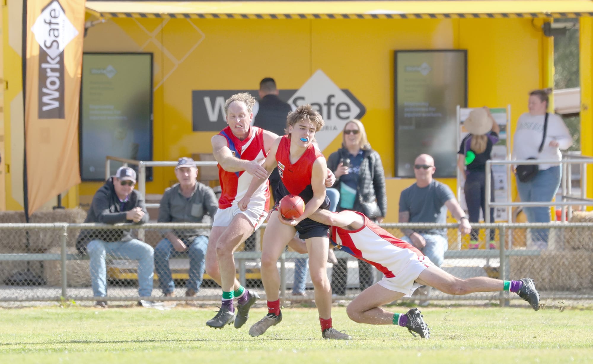 Demons Down Bulls Reserves