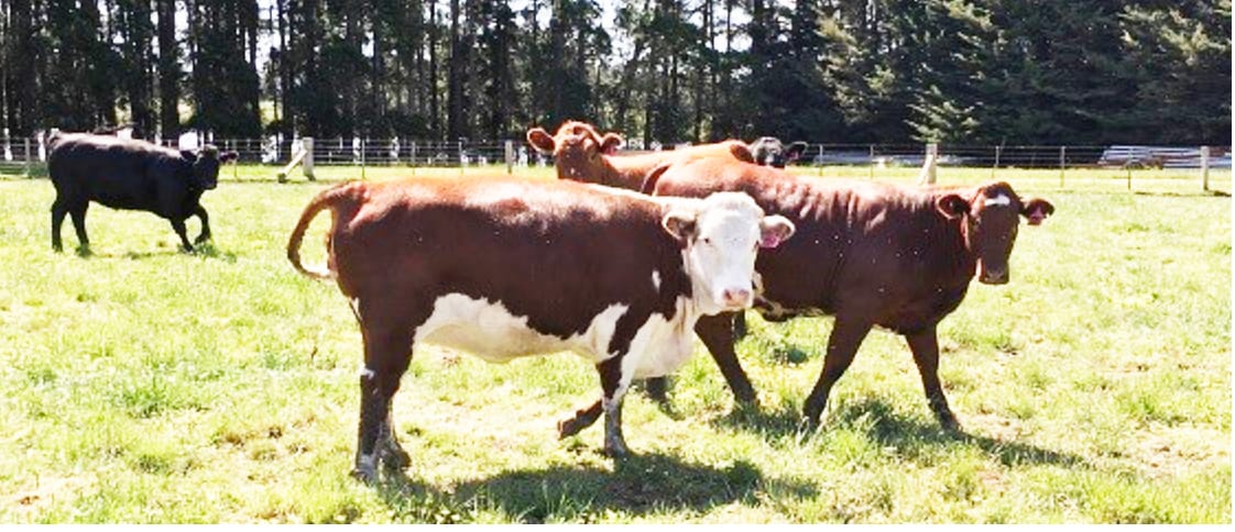 Lurking Chemical Residue Risks