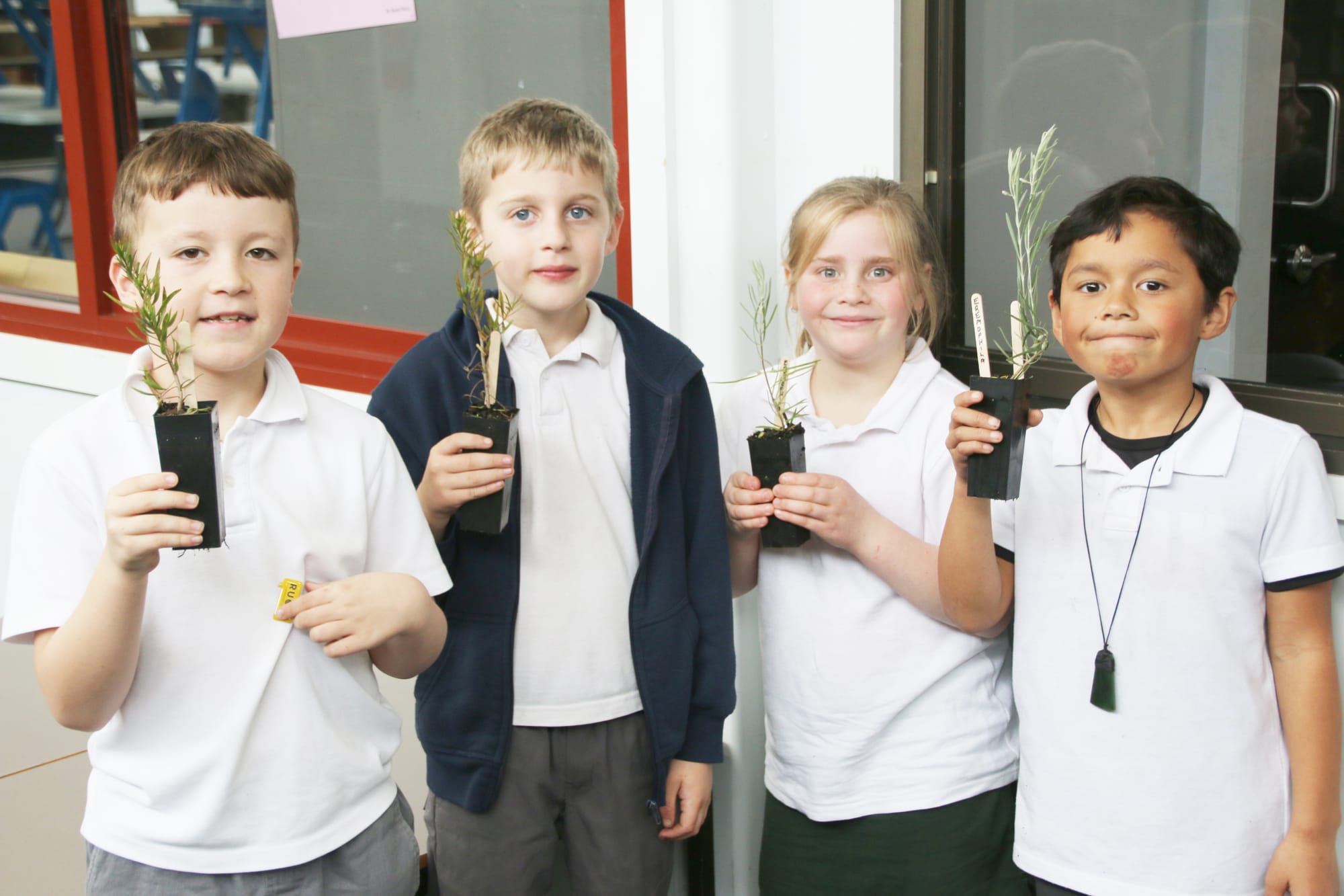 It’s Time to Plant a Tree