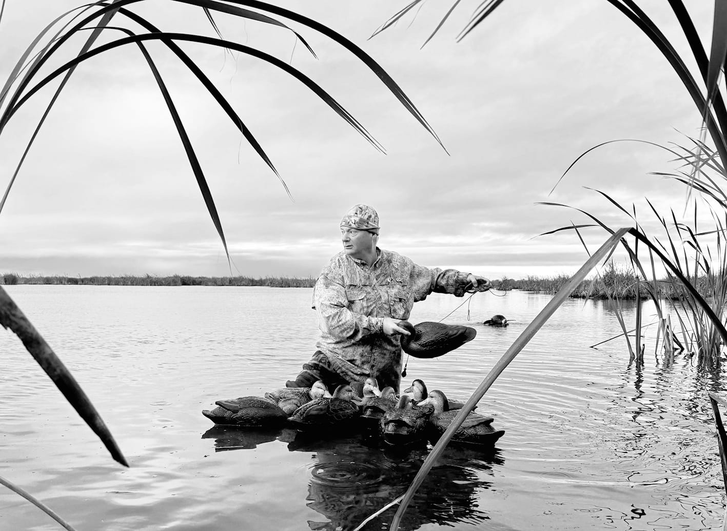 The Hunter’s Point of View