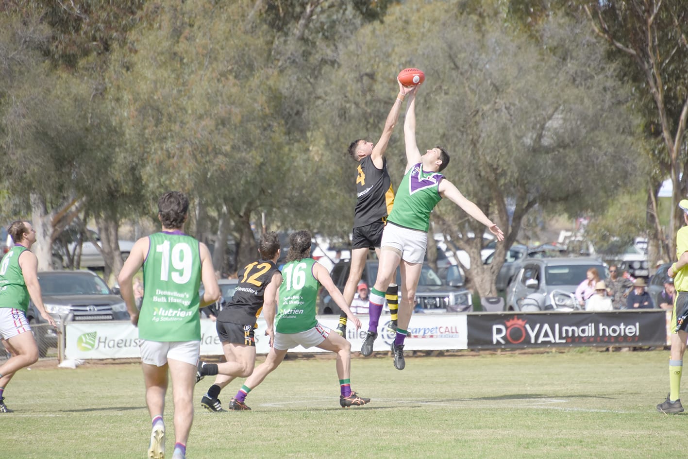 Who Can Challenge the Tigers?