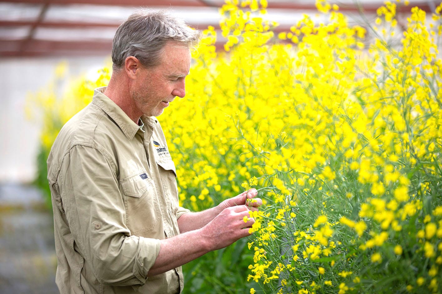 Dangers of Fungicide Overuse