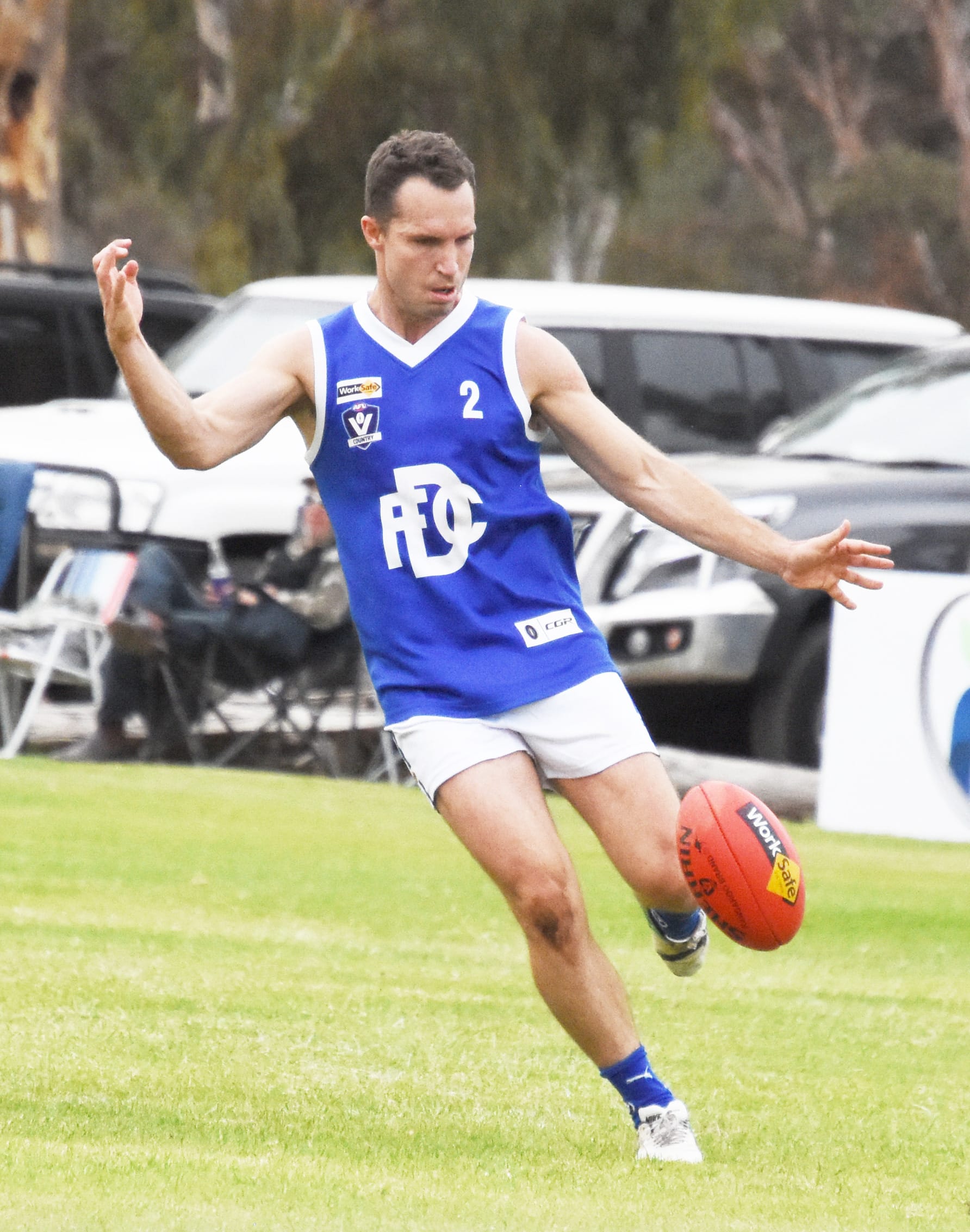 Royal Blues Reflect and Reward