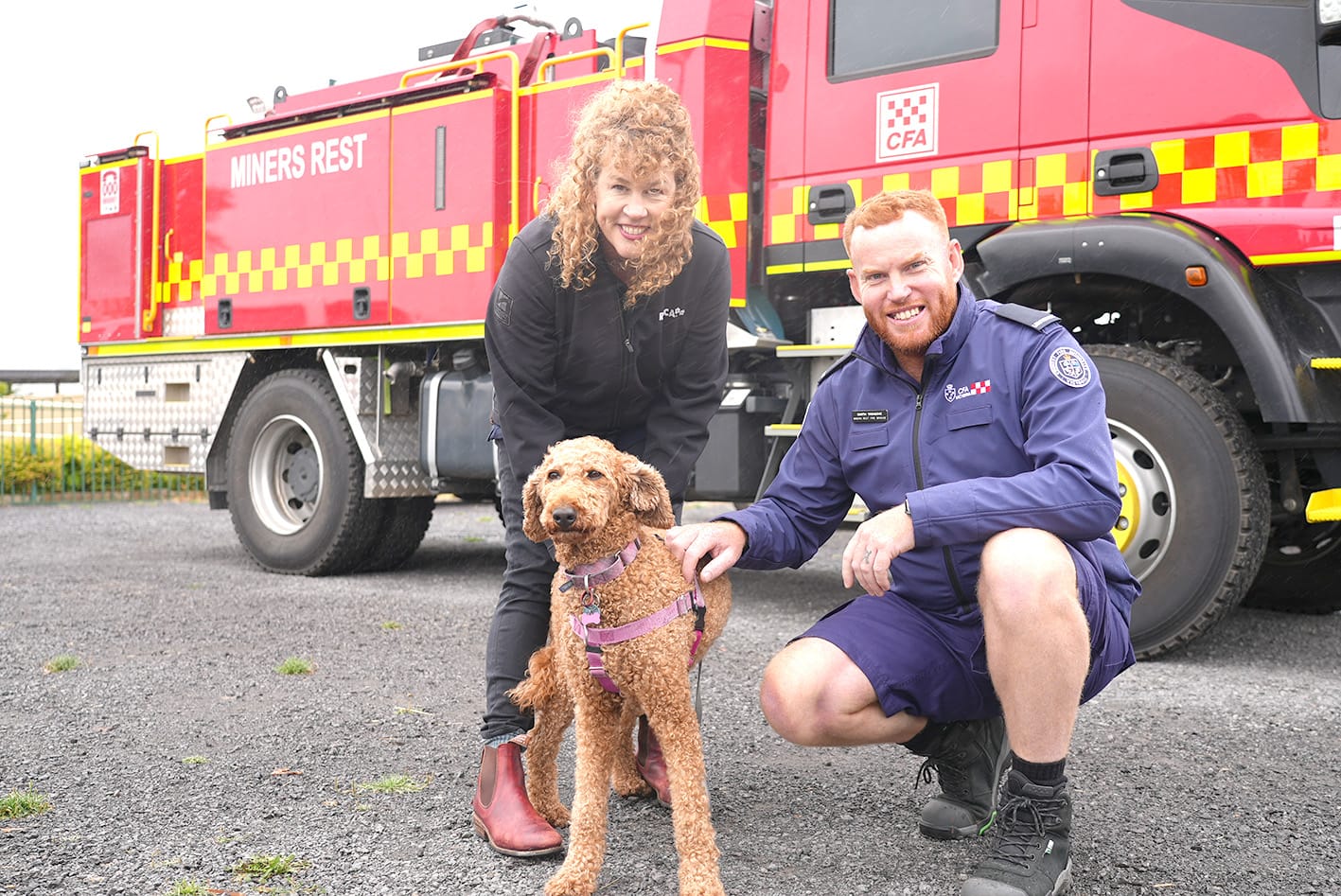 Time to Consider Our Pets