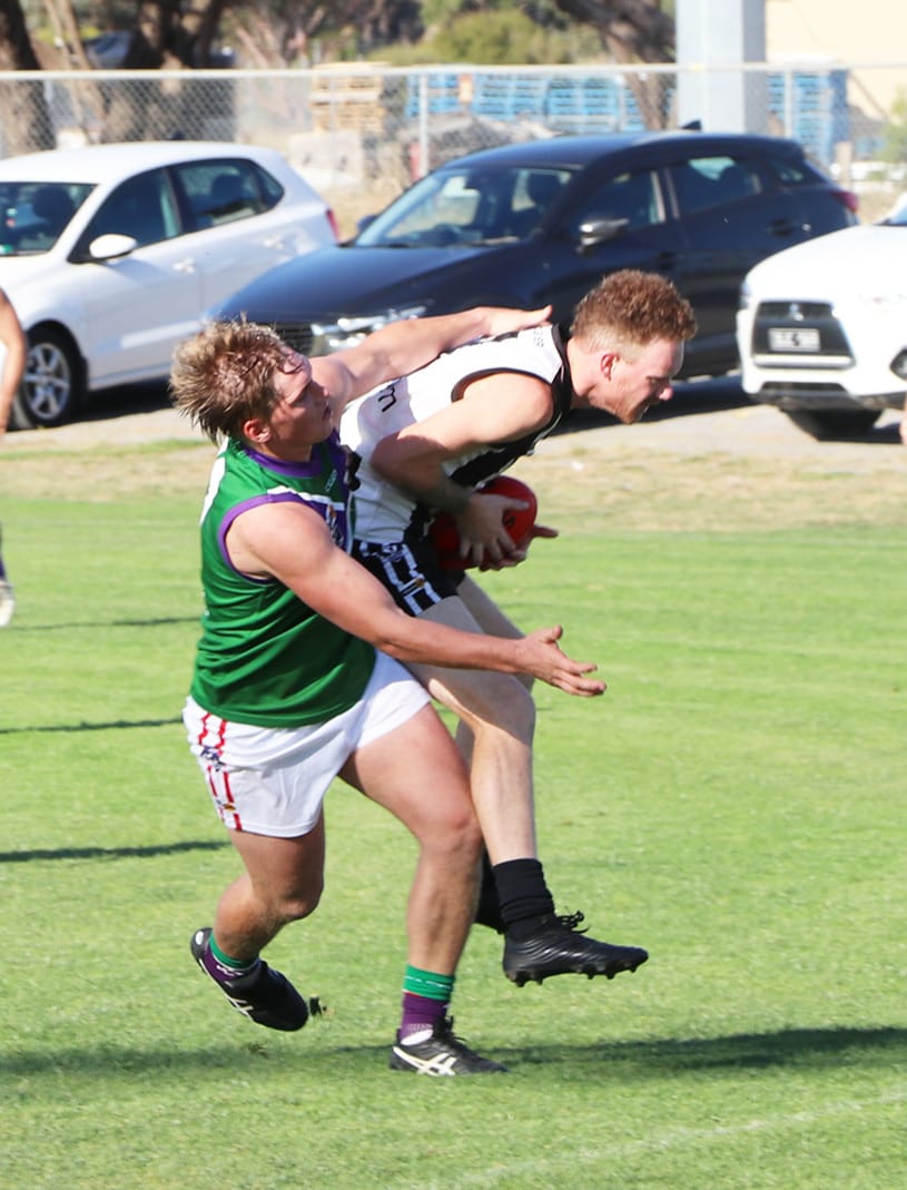 Bulls Stampede at Boort