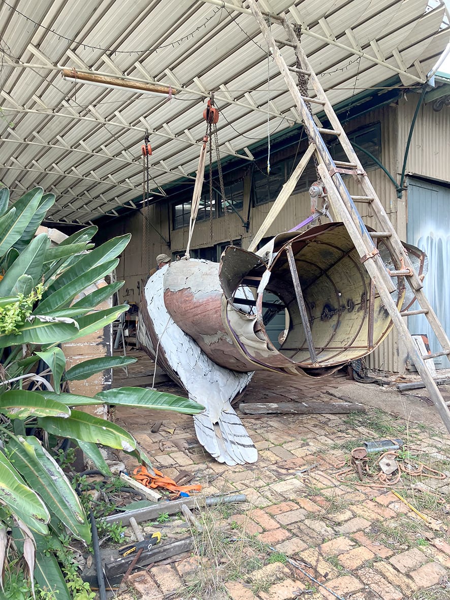 Donald's big Kookaburra in progress.