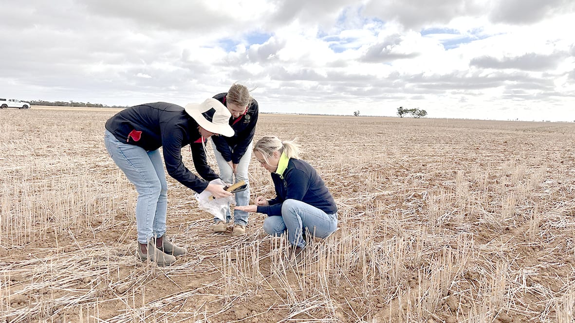 Friday, May 16, 2025