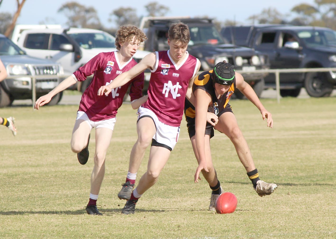 Maroons Host the Tigers