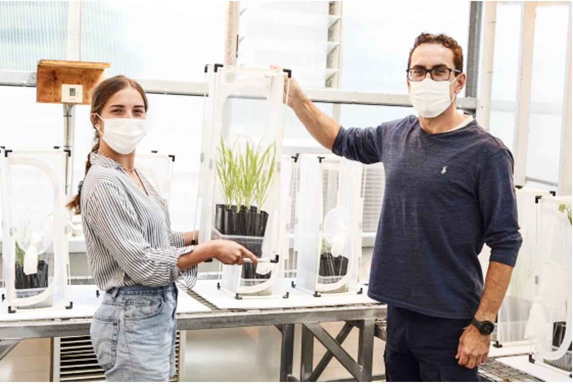 Future-Proofing Food from Pests and Climate Change