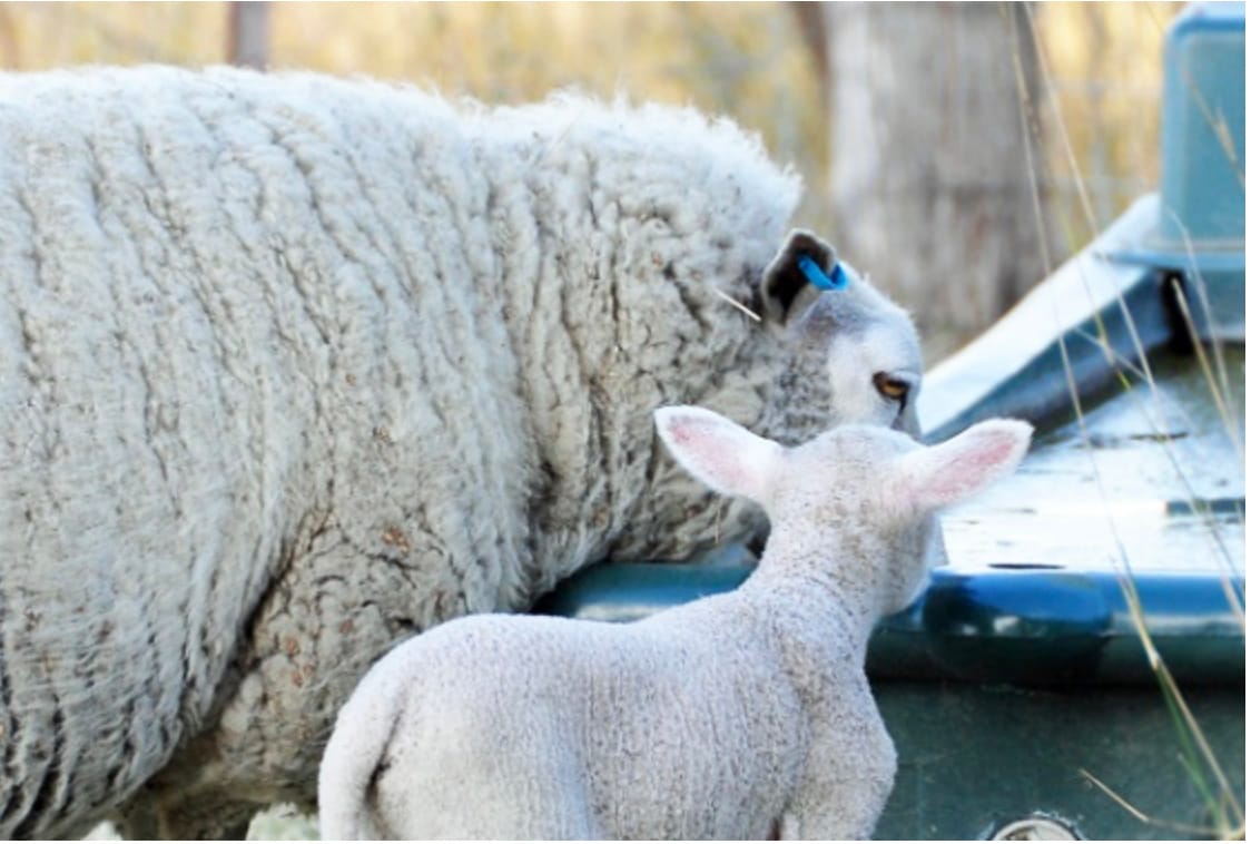 Don’t Let the Heat Evaporate Profits