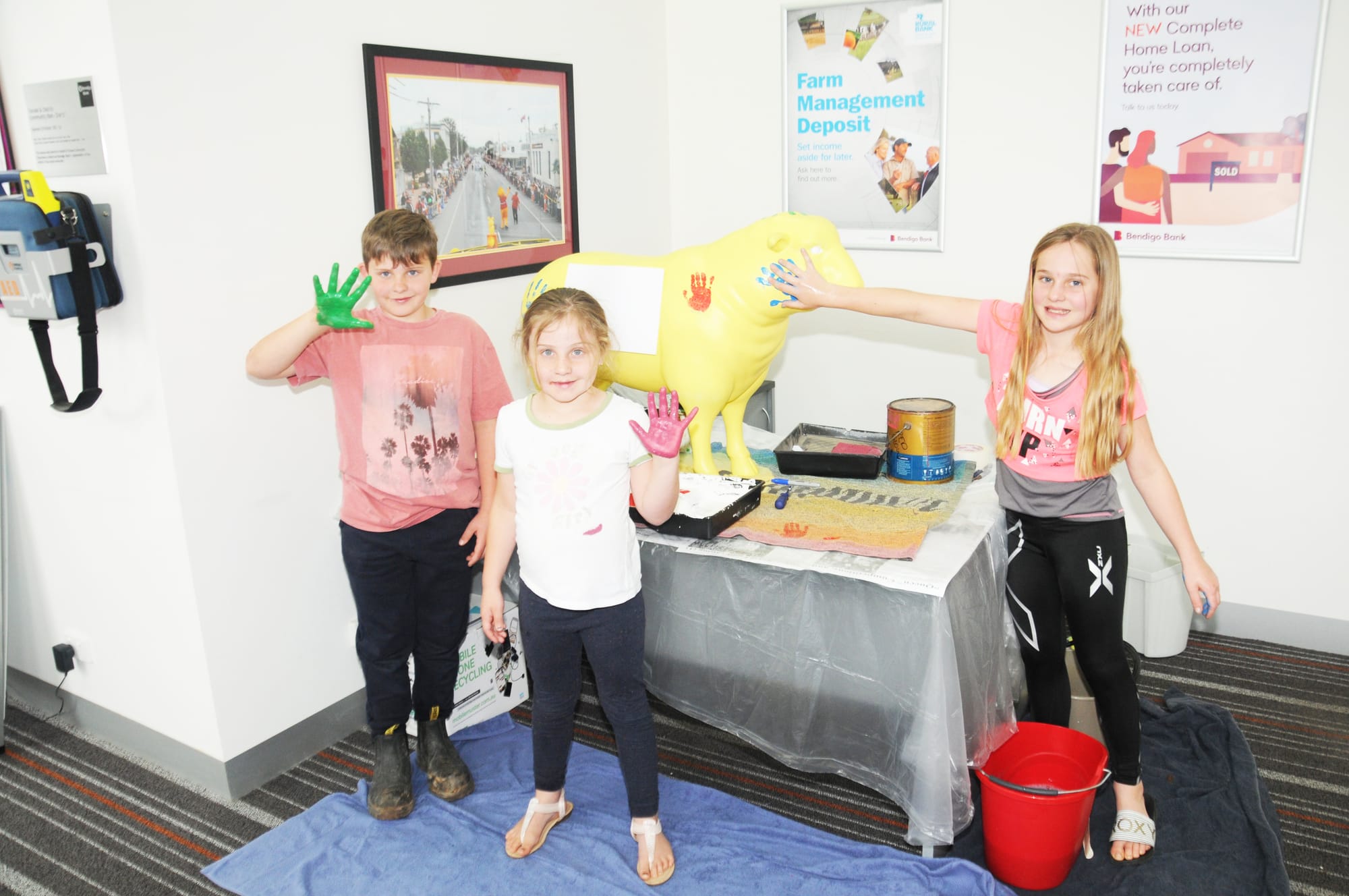 Colourful Sheep Promote Bank Partnership