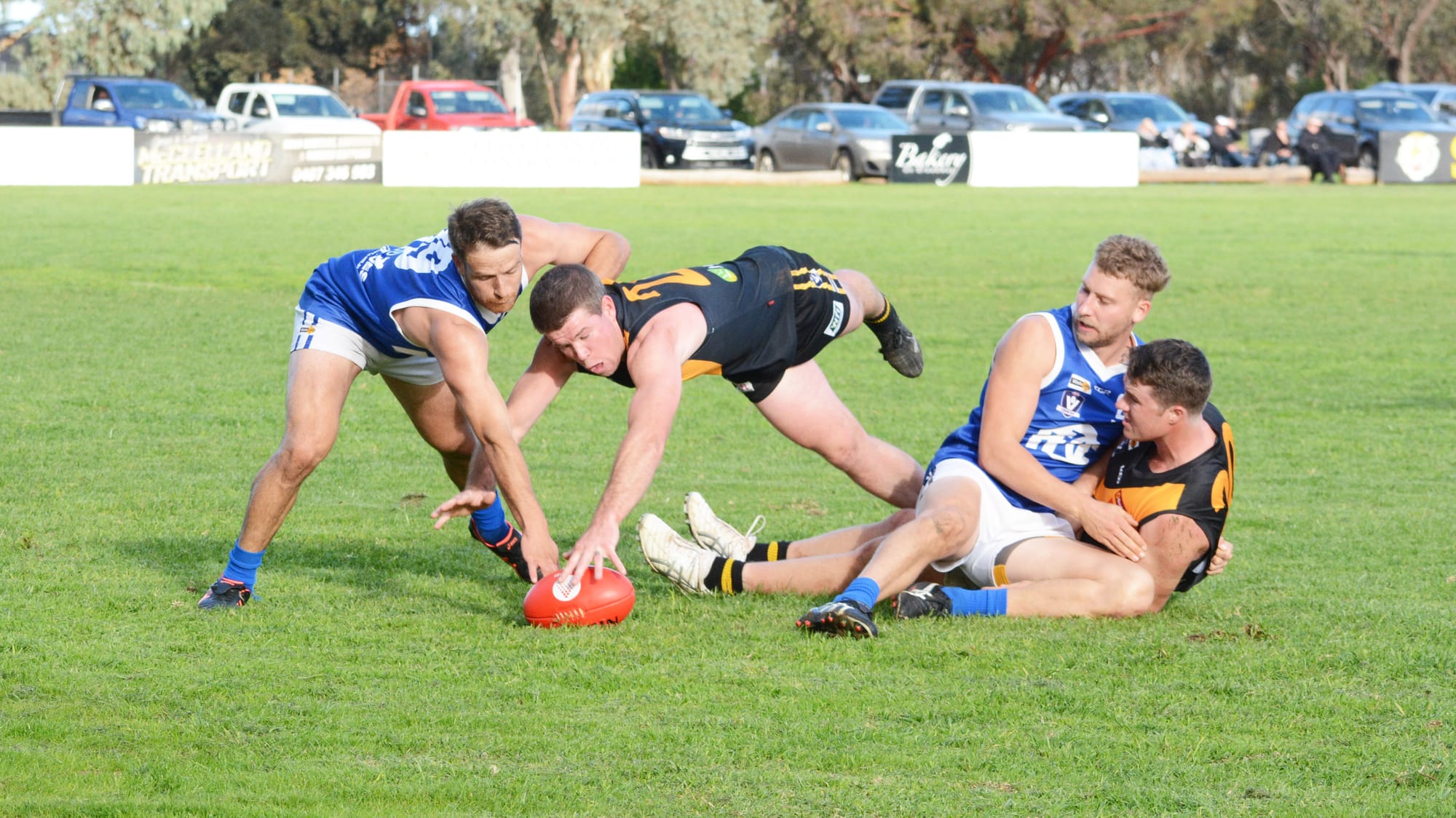 Reality Check for Royal Blues