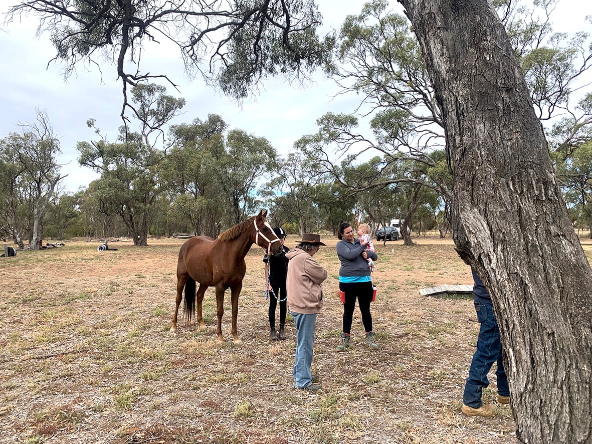 Donald Pony Club’s Membership Boost