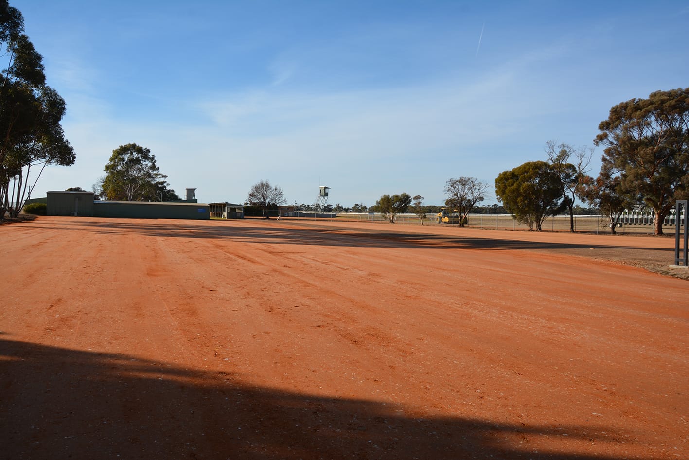 Donald Races Tomorrow