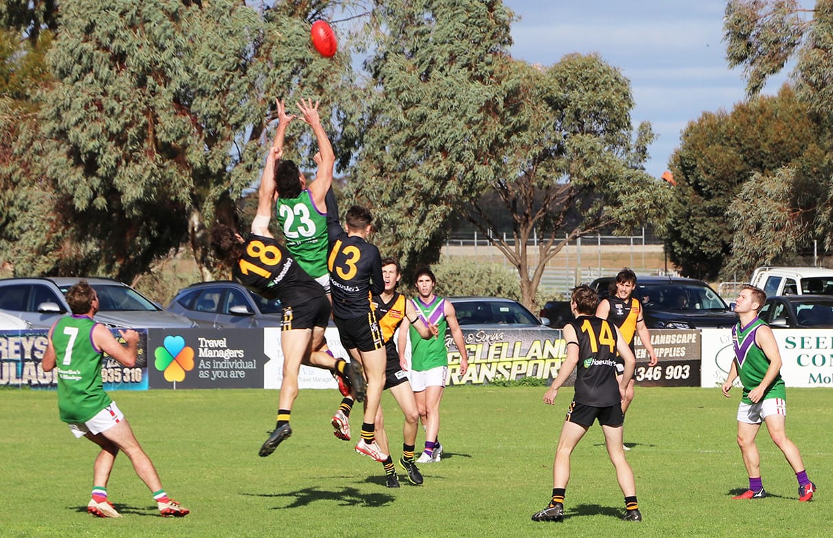 Resolute Bulls Tame the Tigers