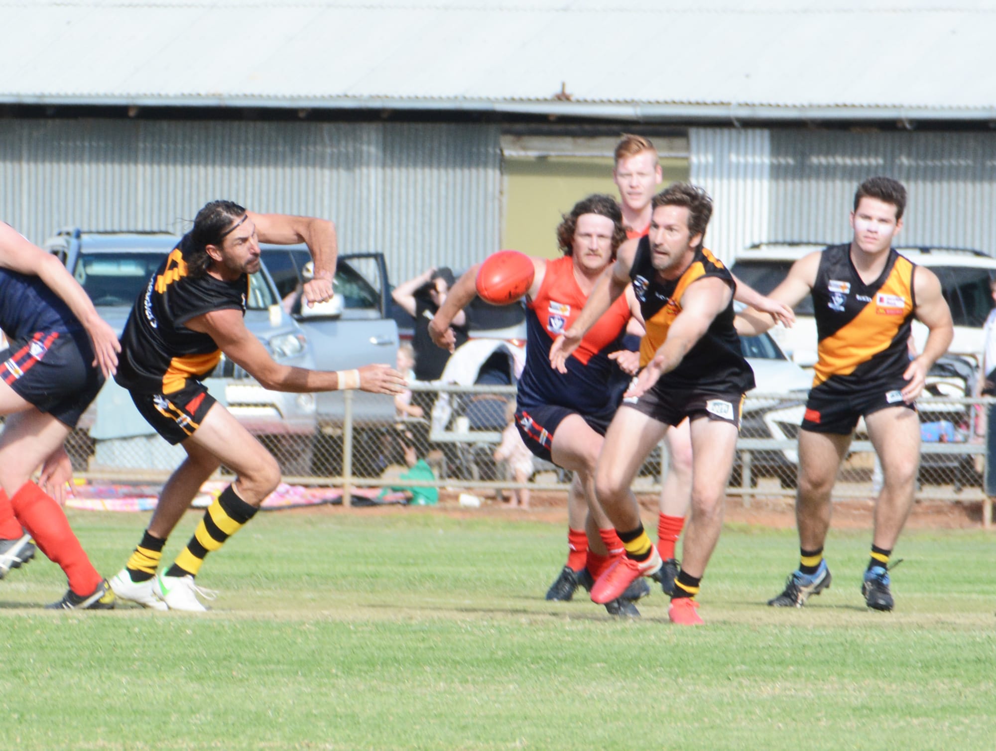 Demons No Match for Tigers