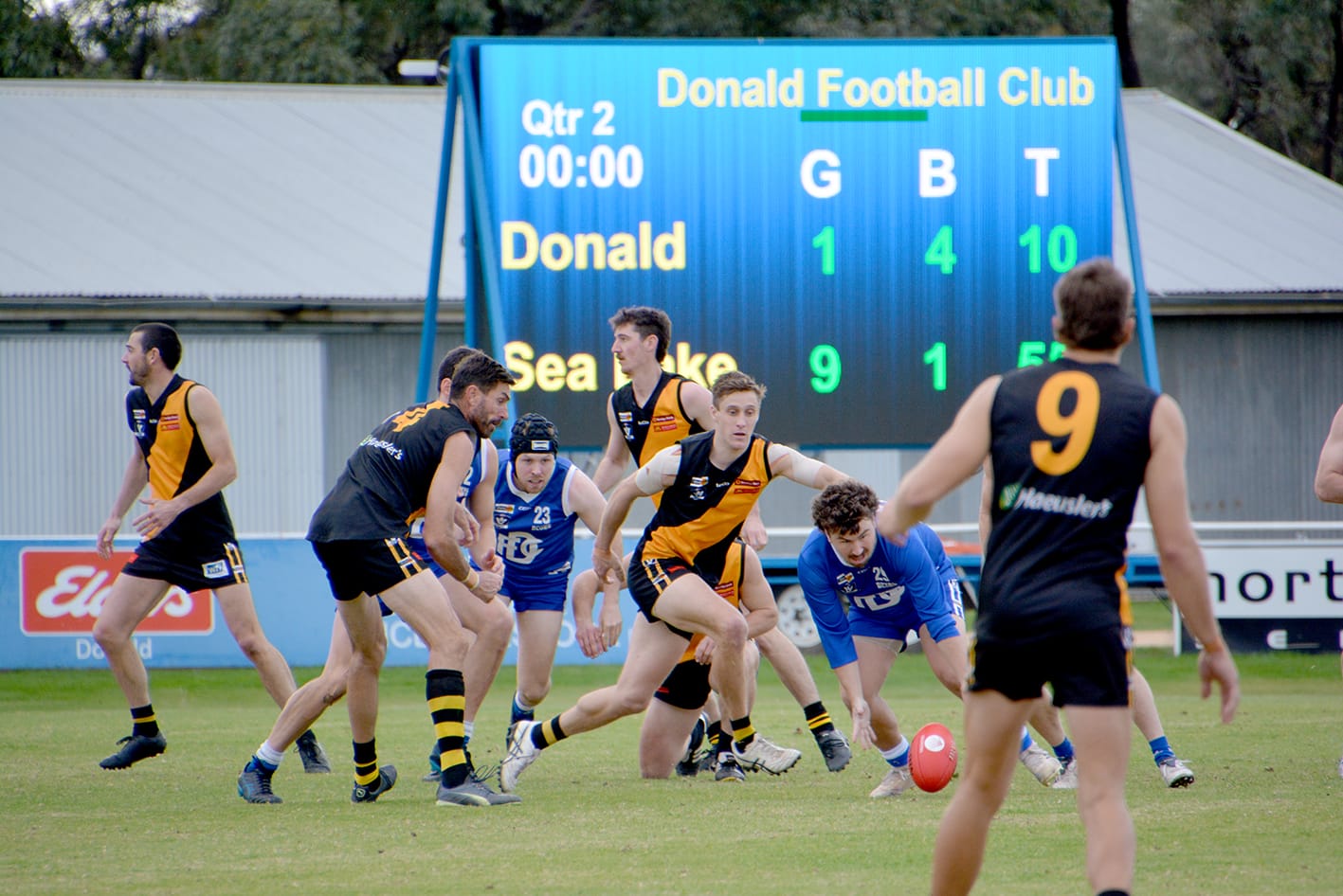 Ruthless Tigers Rout Royal Blues