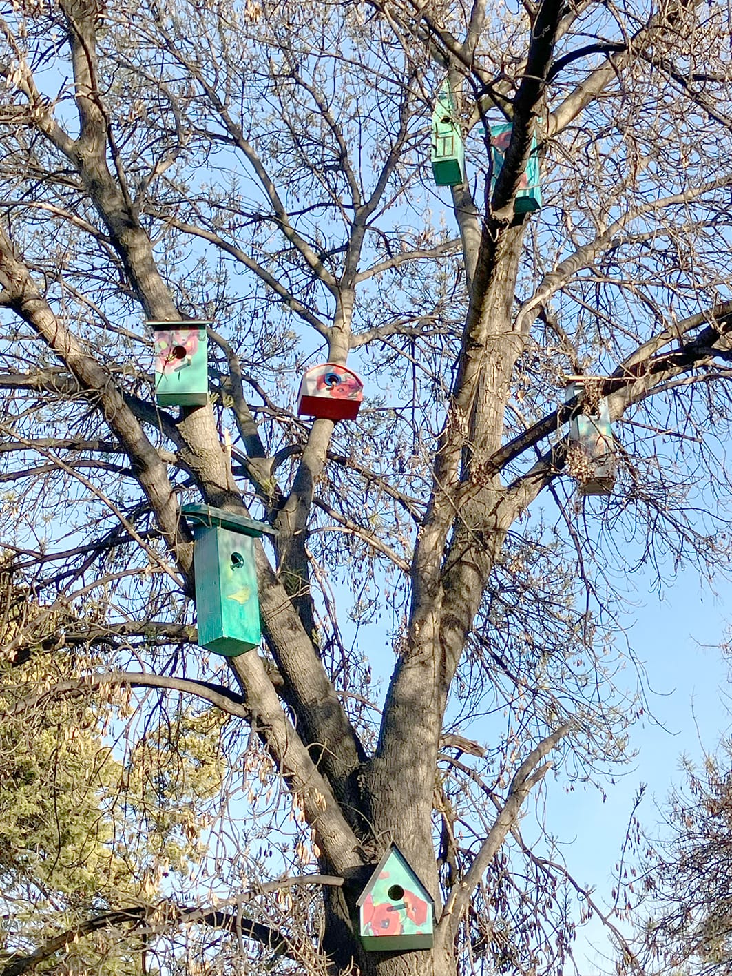 High Rise Homes in Buloke