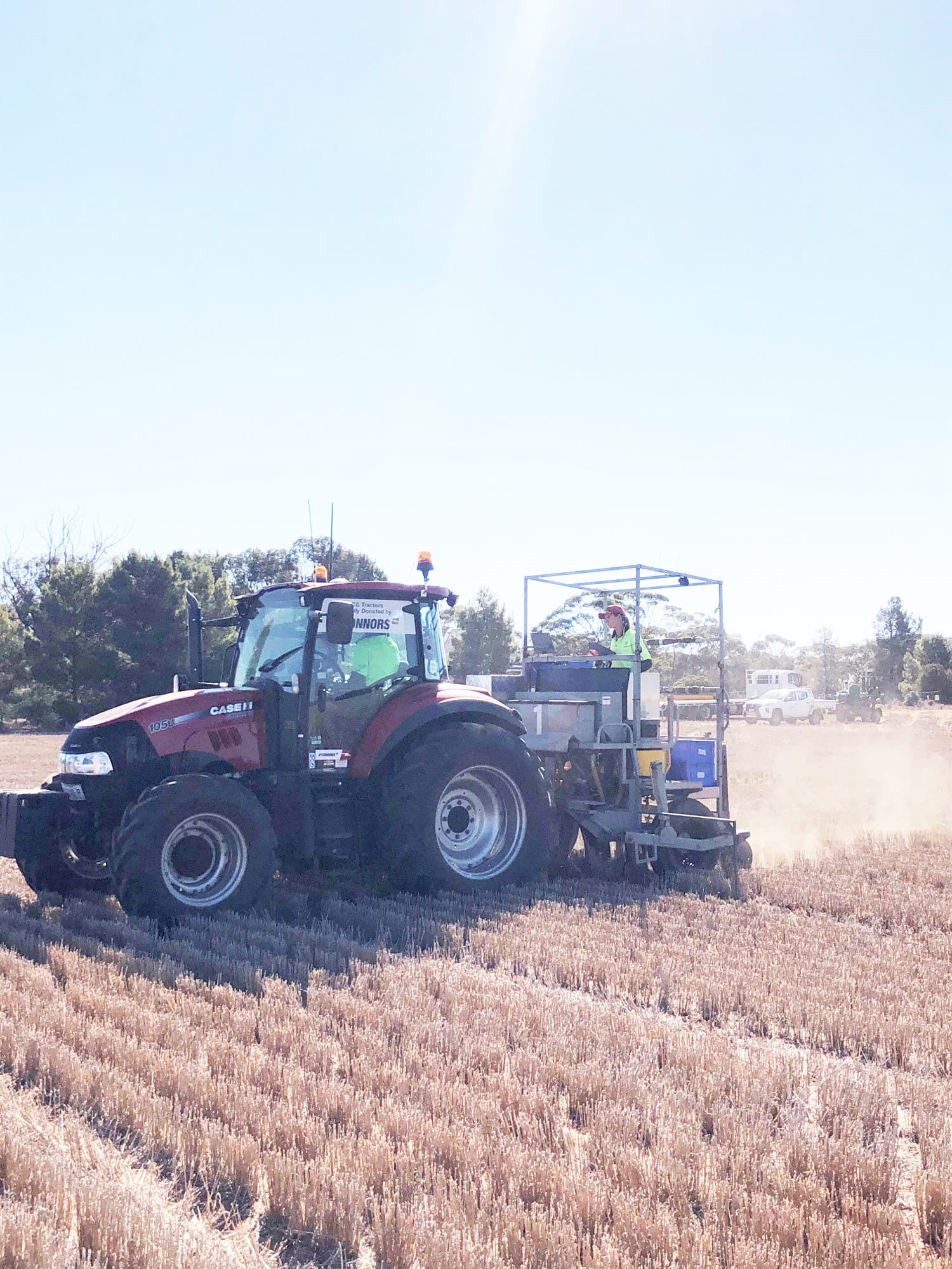 BCG Announces Research and Extension Program