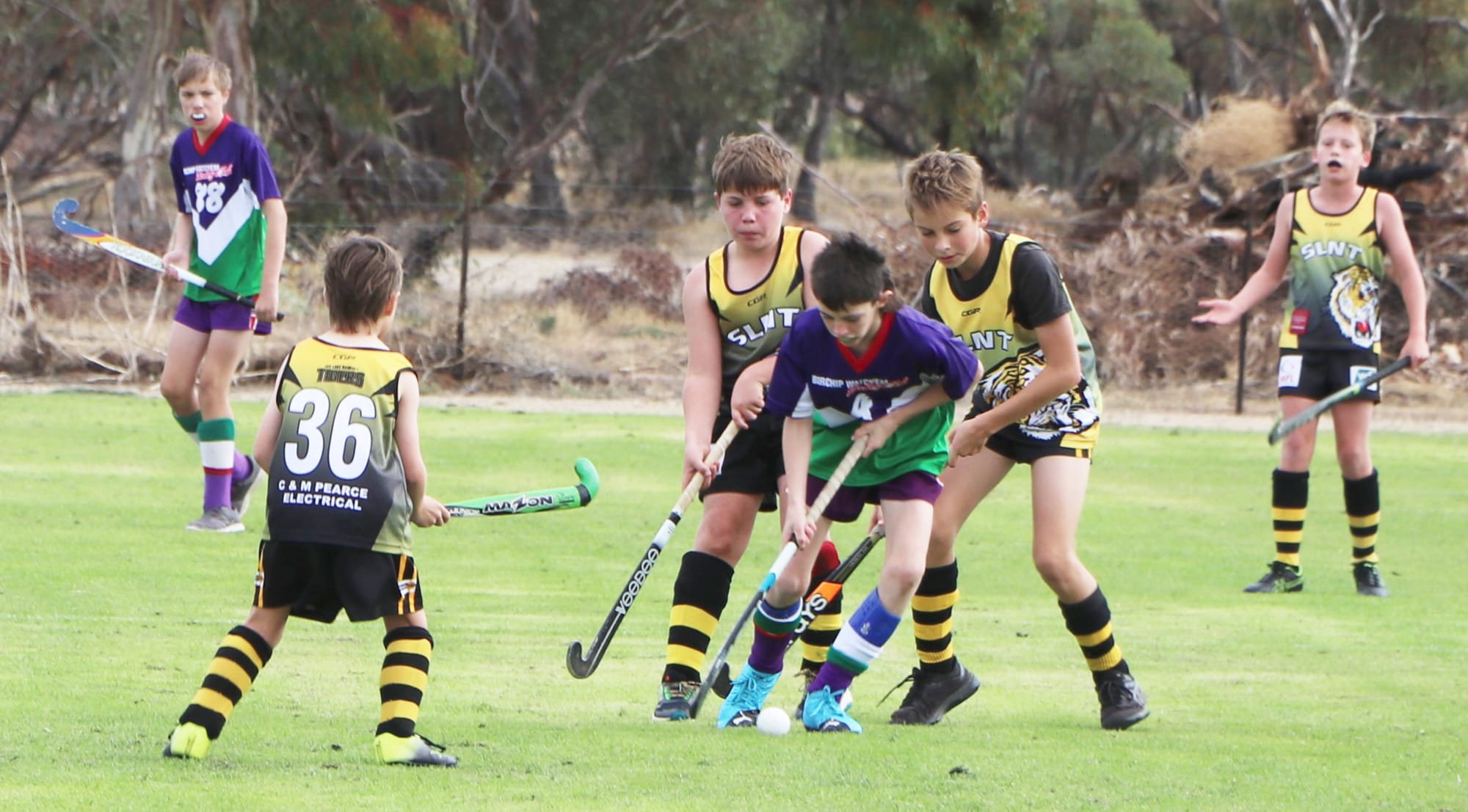 North-Central Hockey