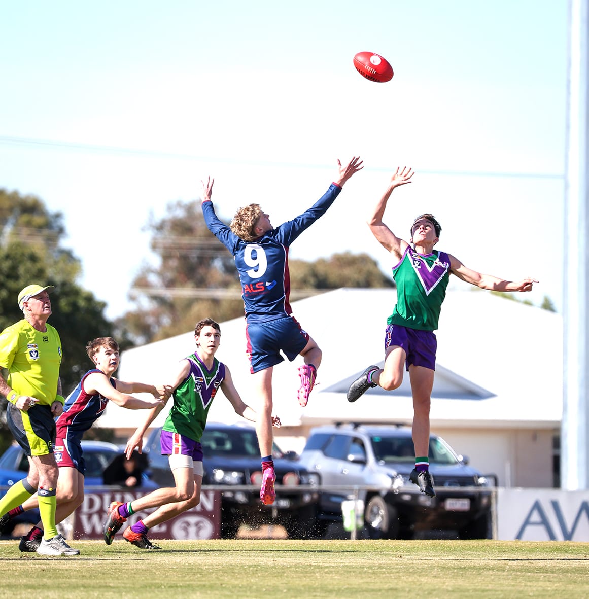 Lions Outmuscle Bulls