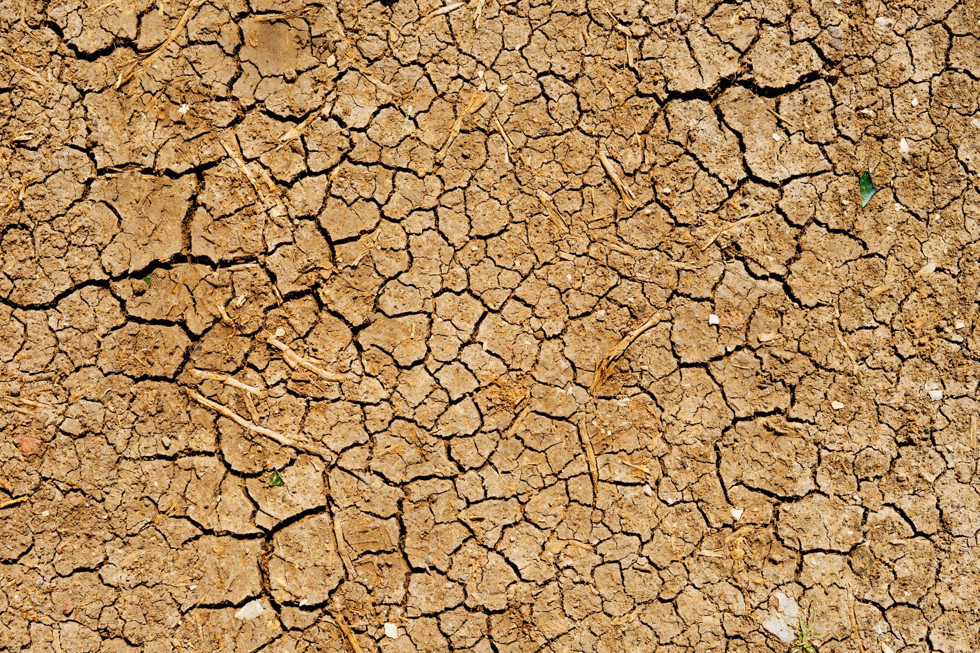 Drought Resilience Applications Open