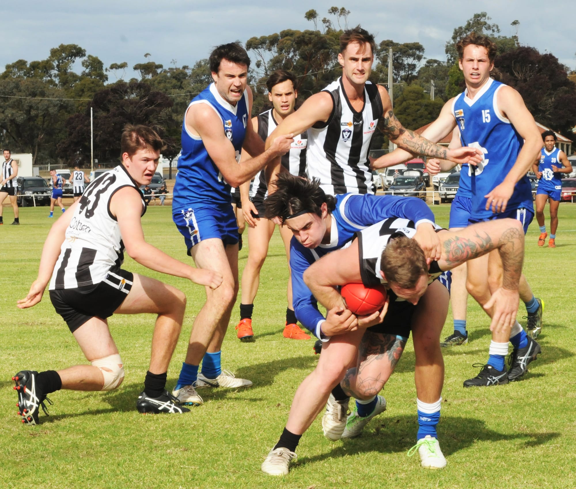 Magpies Break Their Drought