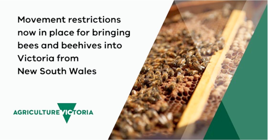 Bee Restrictions in Place in Victoria