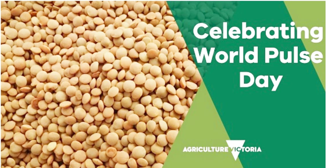 Big Boost for Lentil Breeding