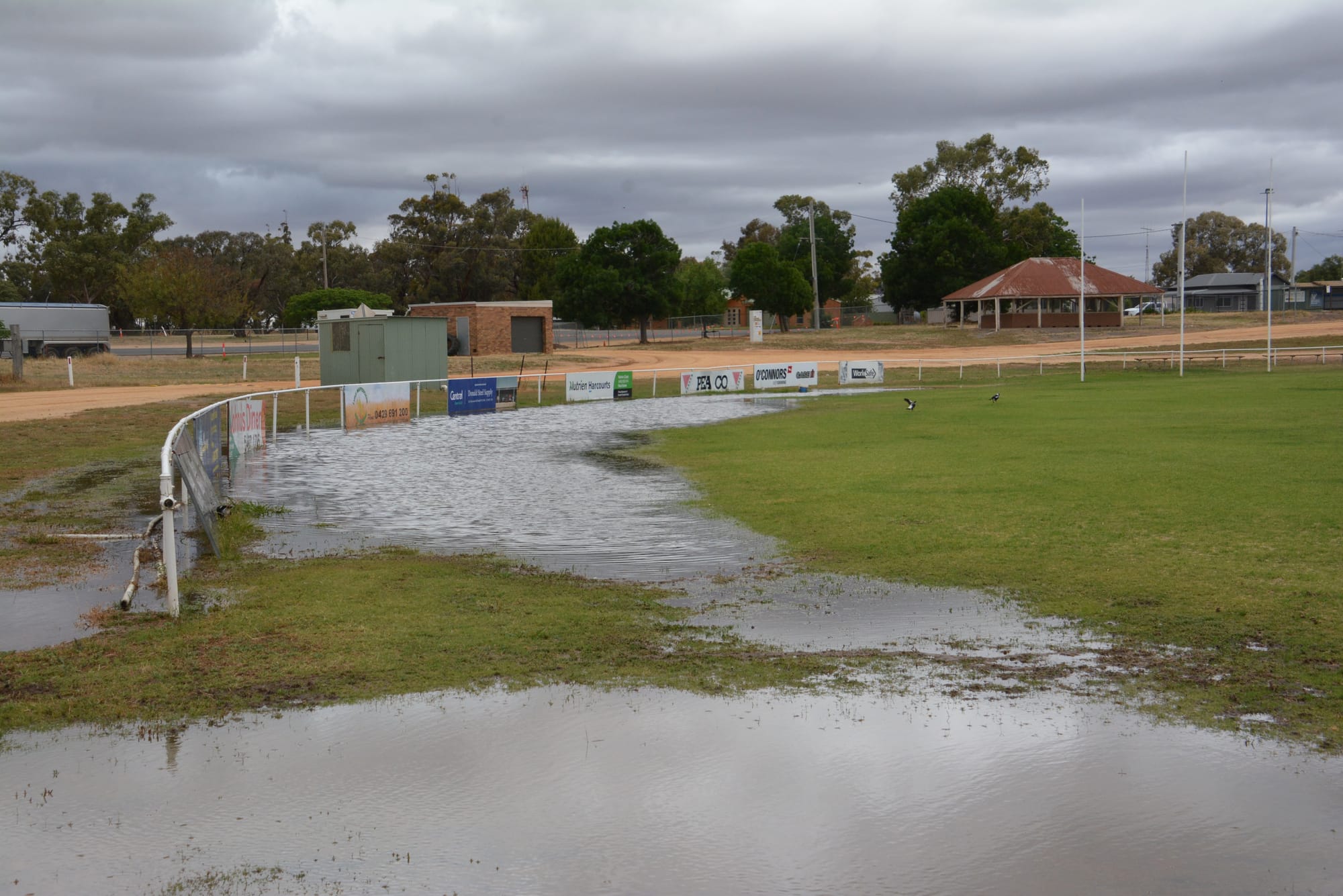 No Wet Wicket, But . . .