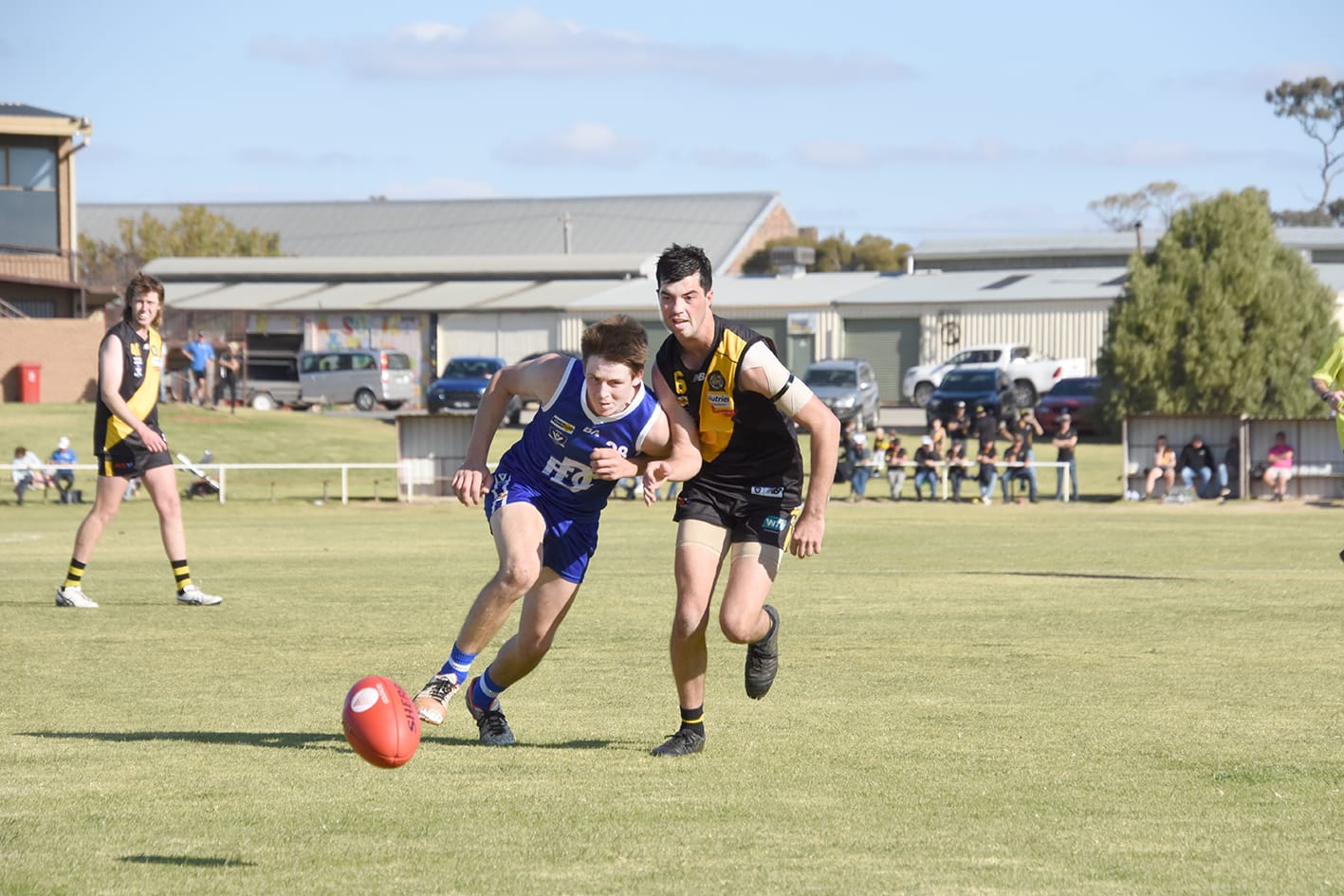 Tigers’ Reserves Hold Donald Out