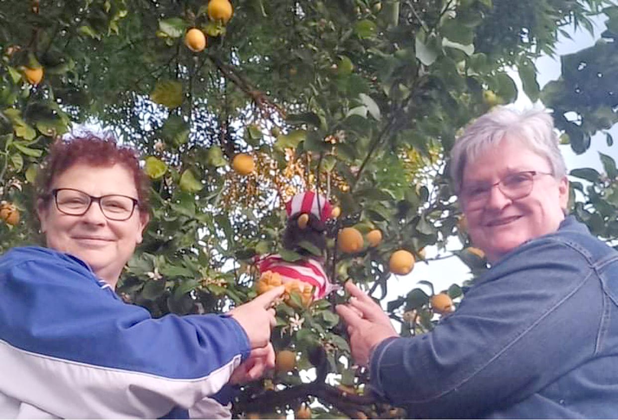 “Where’s Wally?”