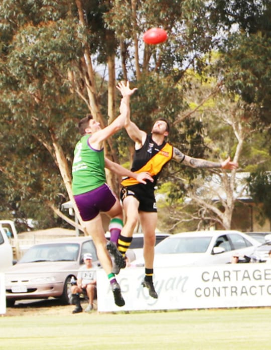 Bulls Roar Louder Than the Tigers