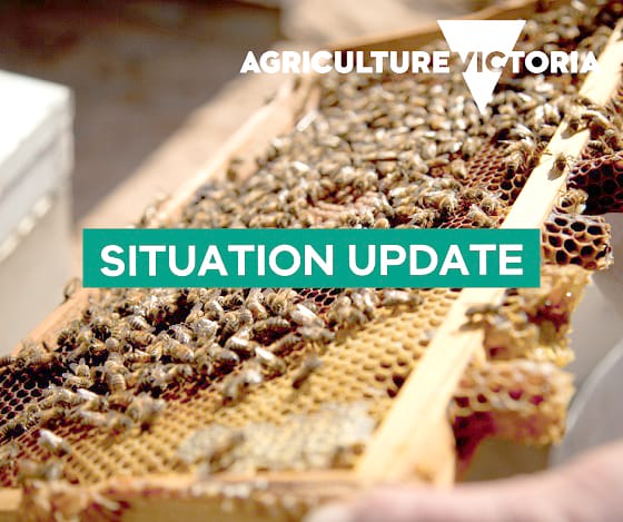 Transition to Management Planned for Varroa