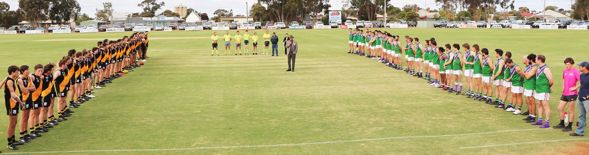 Tigers In A Thriller