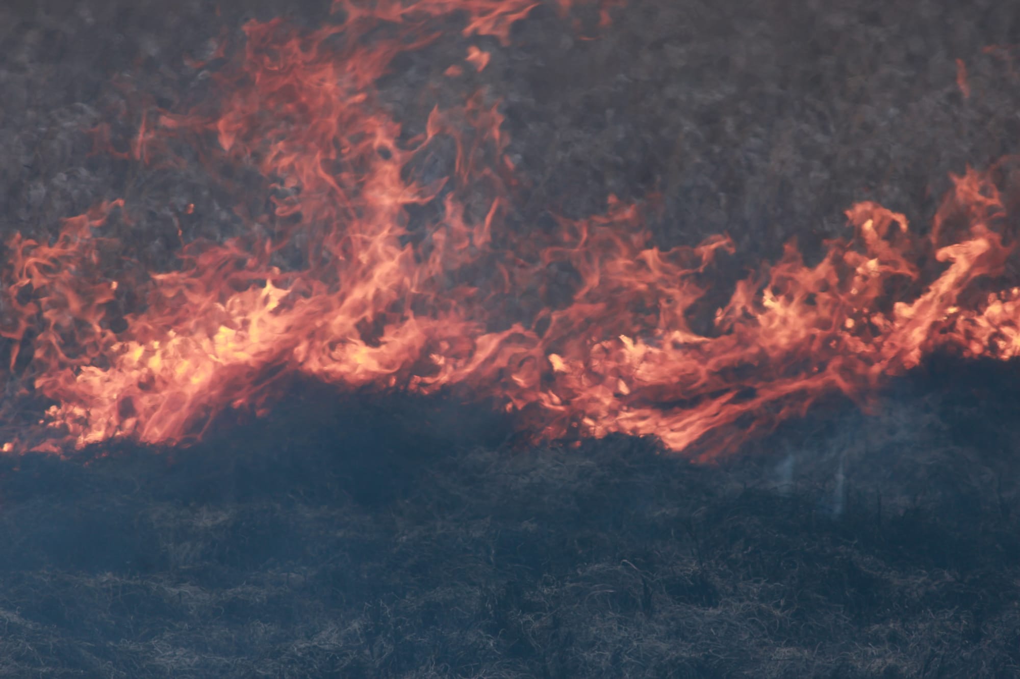 Time to Register Burn-Offs