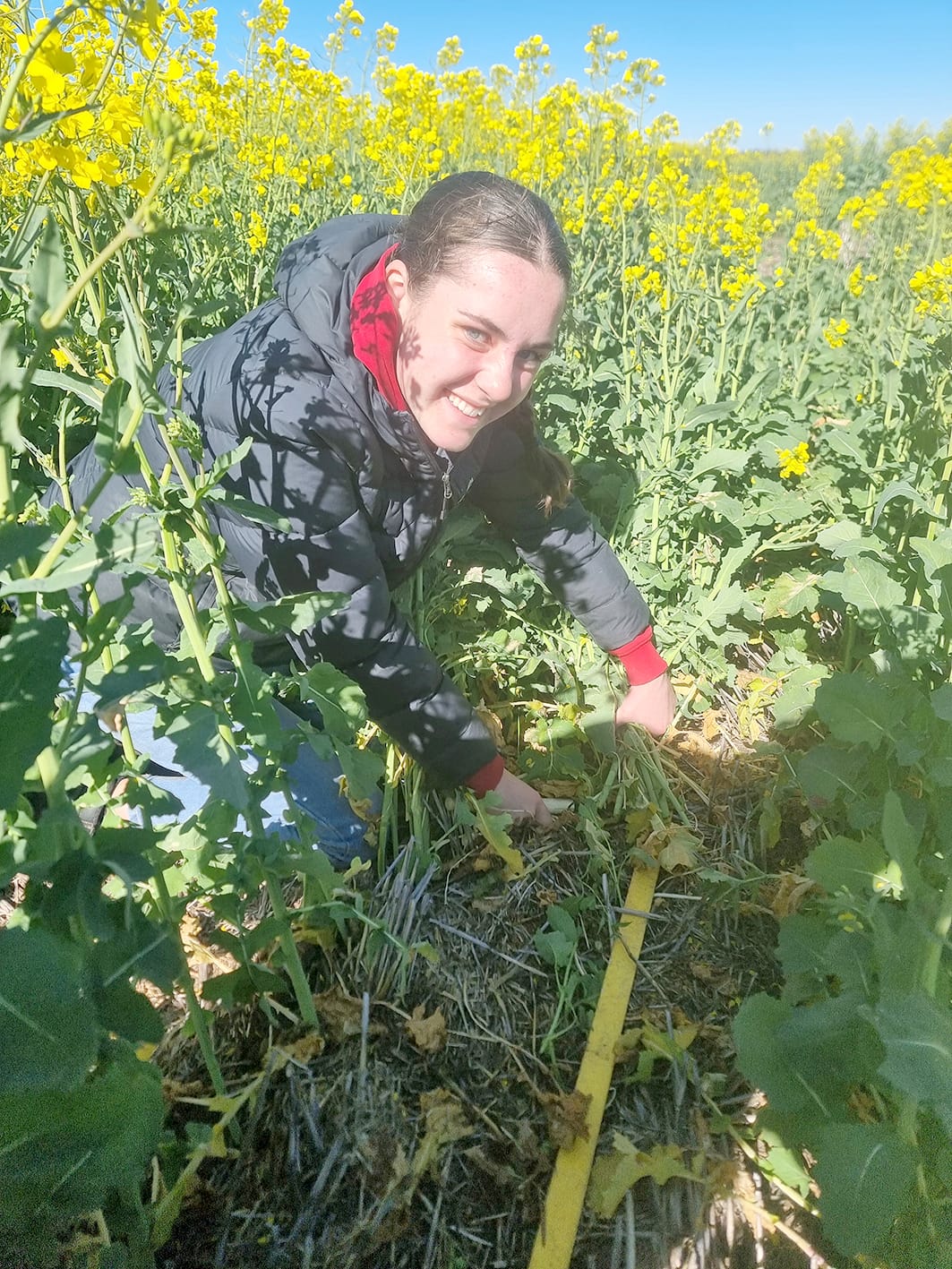 Work Experience with Birchip Cropping Group