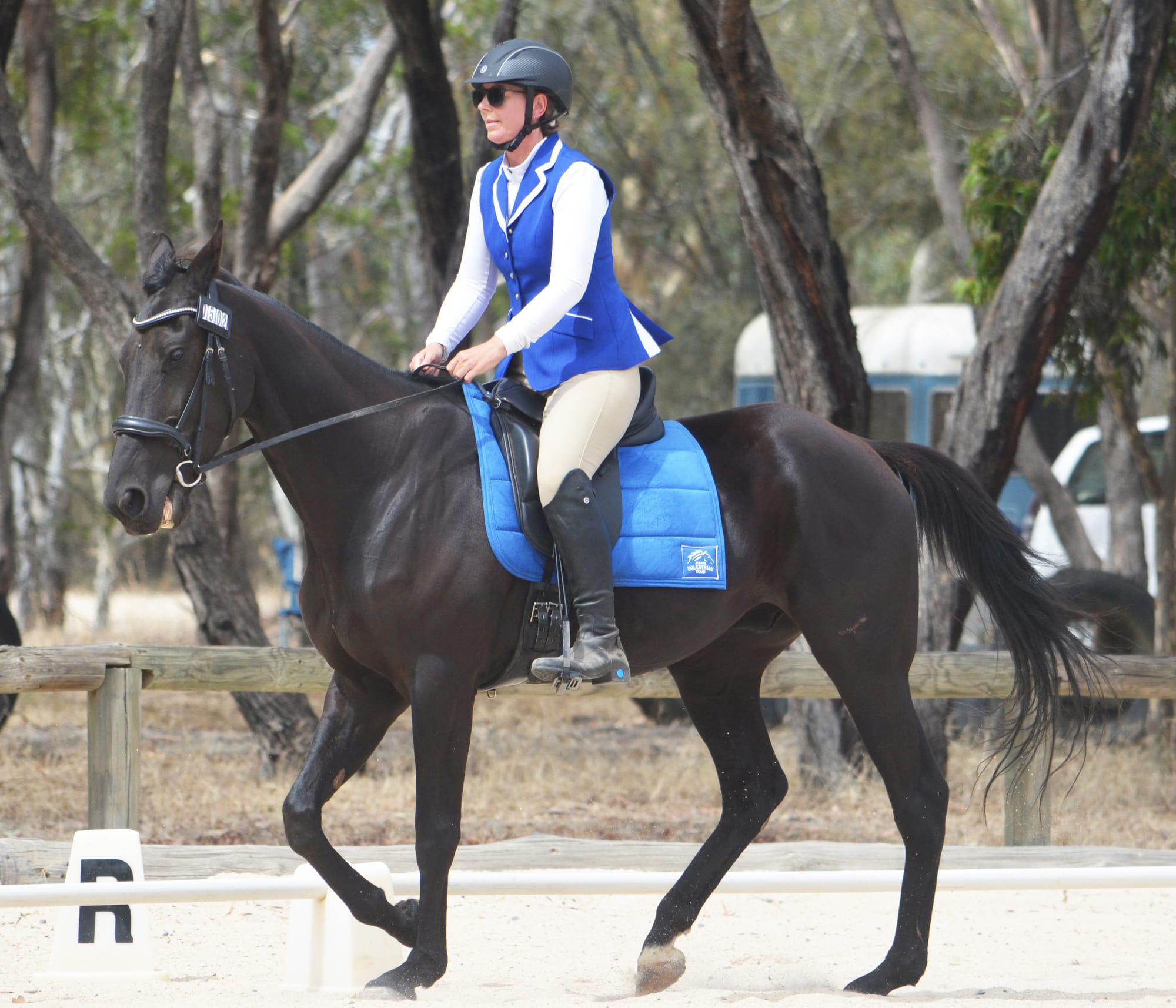 Long Weekend Dressage for Buloke Riders