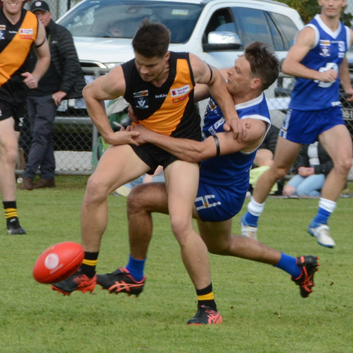 Royal Blues to Challenge Bulls