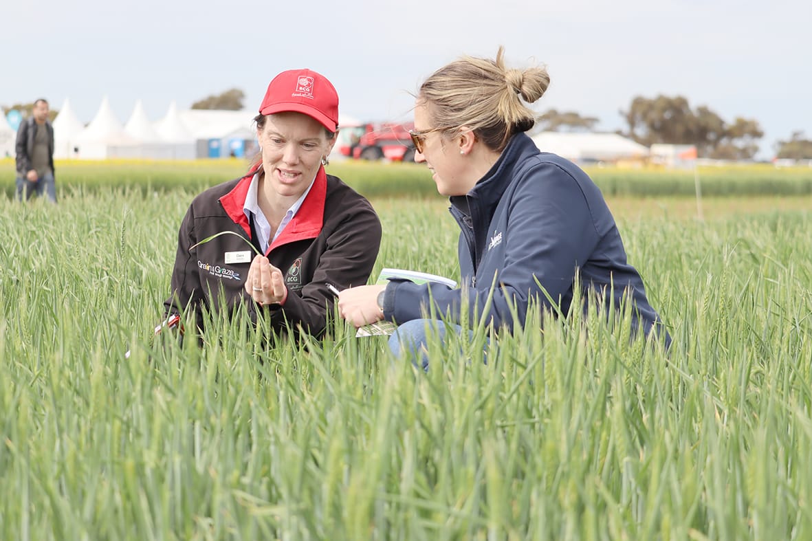 Main Field Day Highlights Fatigue and Profitability