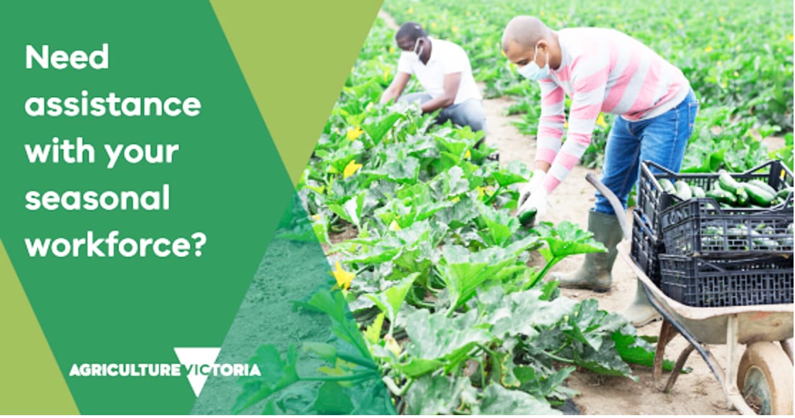 Do You Need Seasonal Workforce Assistance?