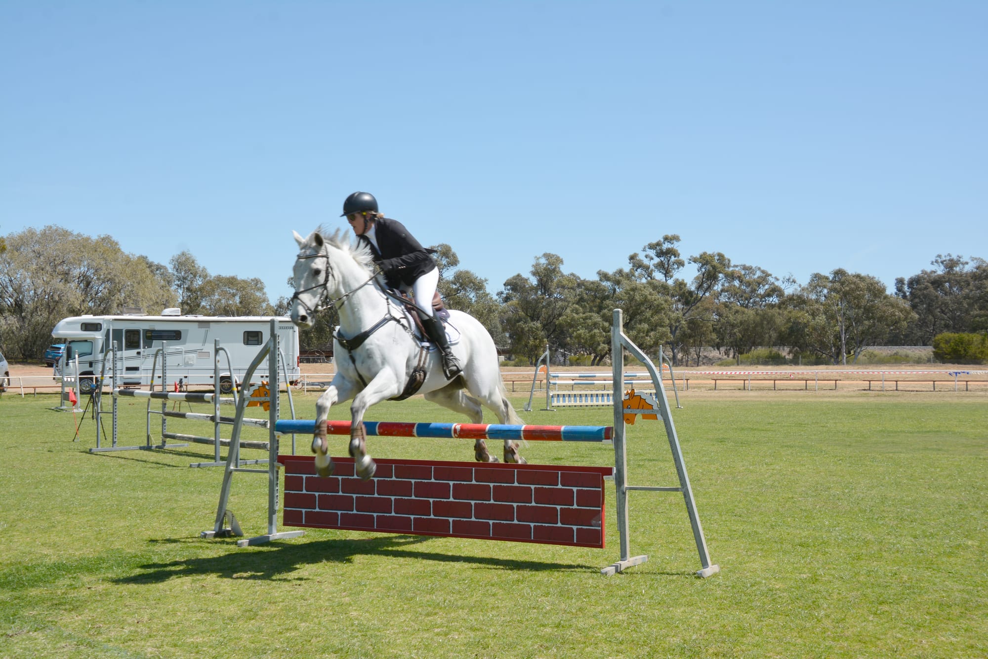 Although entry numbers were down the horse events and showjumping were other enjoyable activities to watch on the main arena.