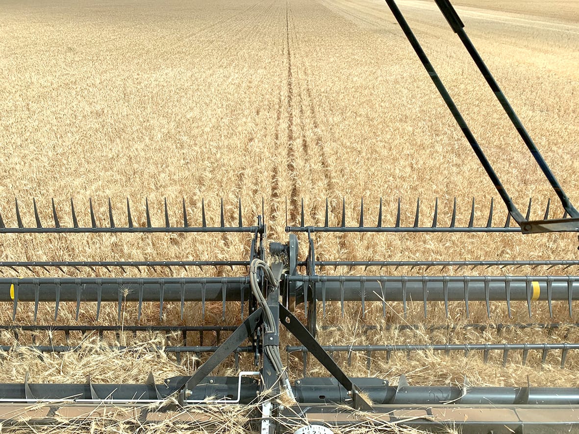 We Can’t Afford to Lose Older Herbicides