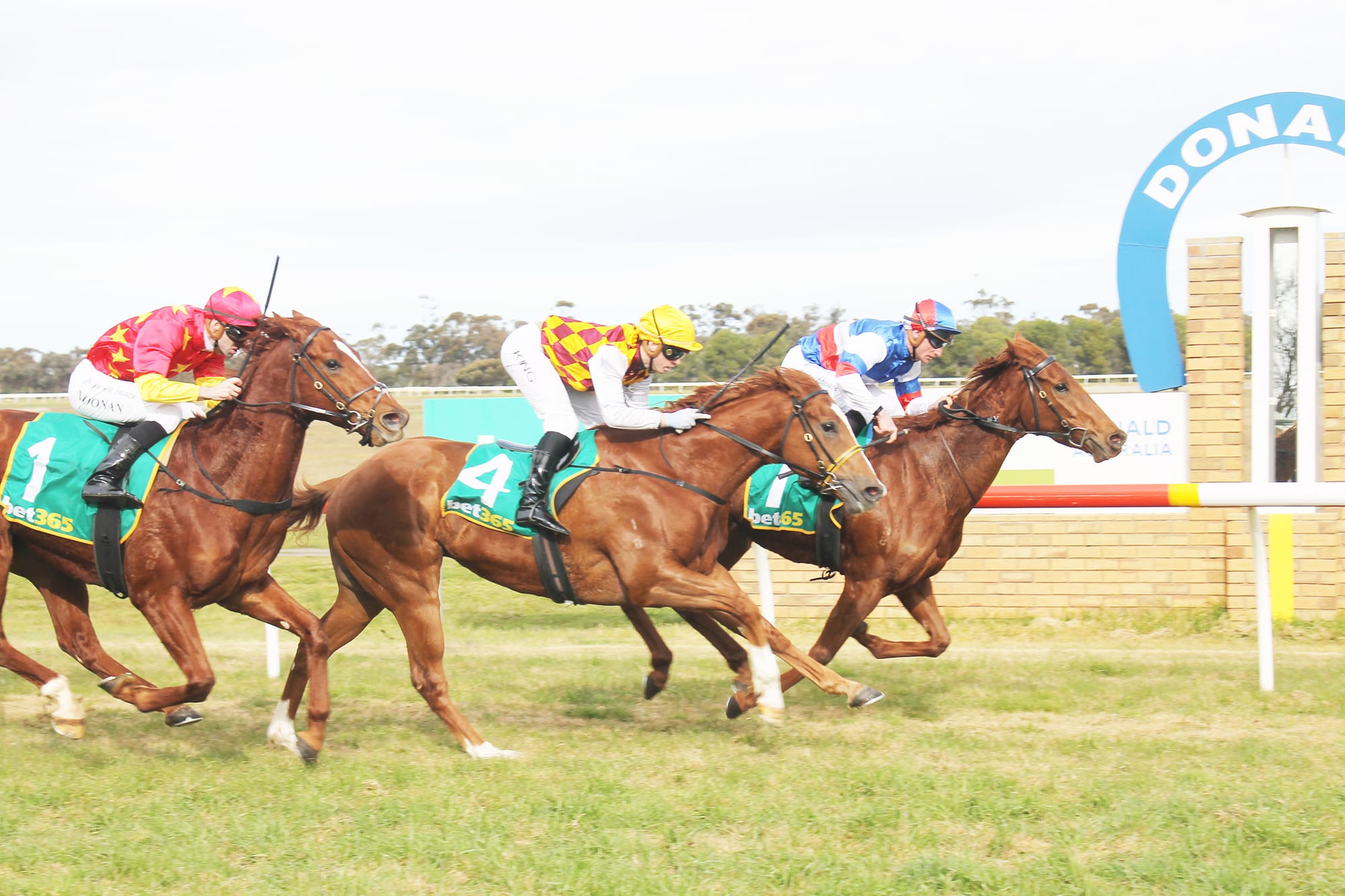 Donald Racegoers Brave the Cold