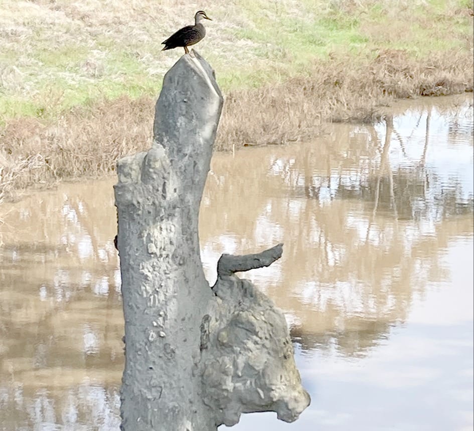 Friday, September 1, 2023