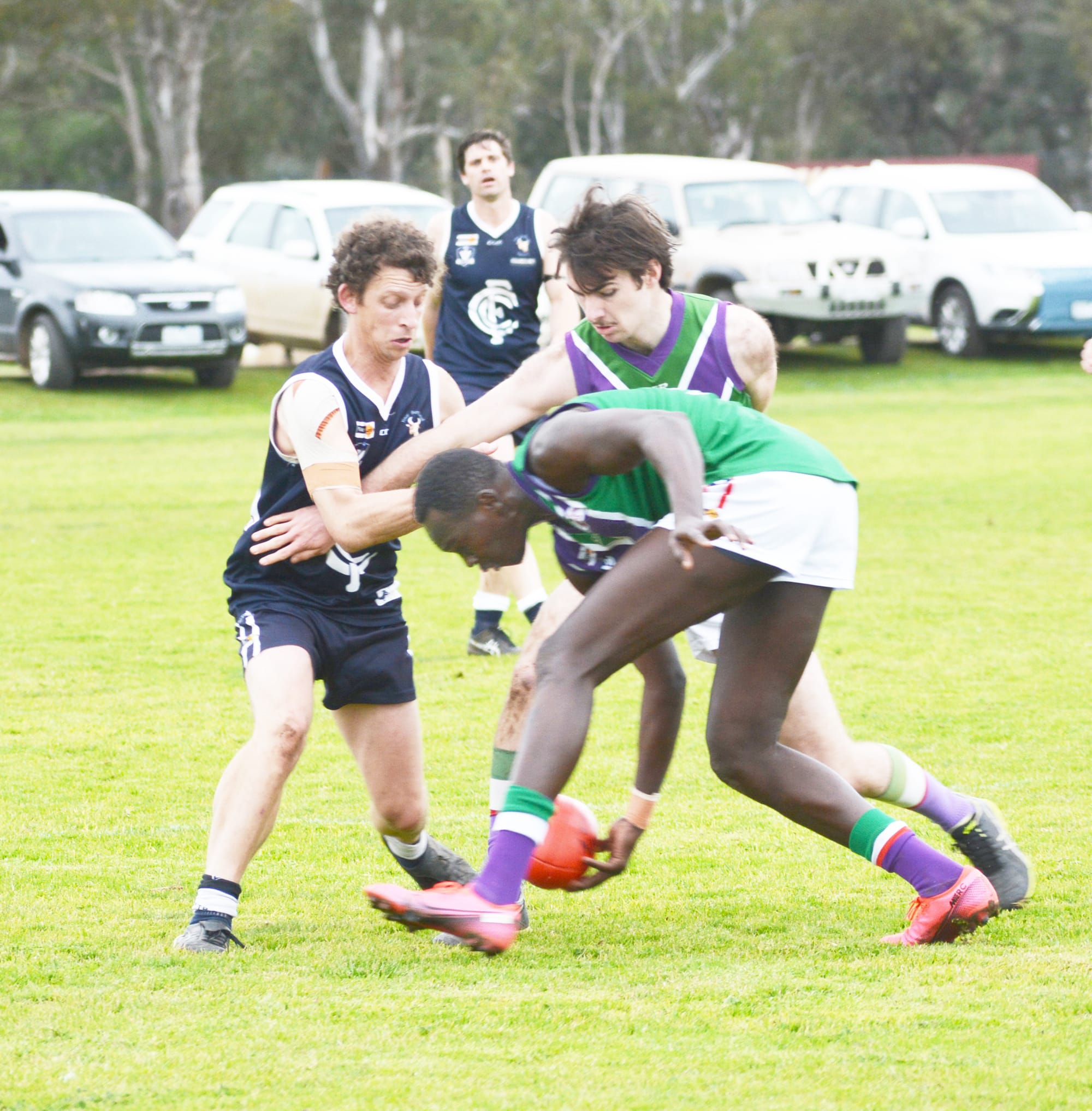 Bulls Sink Plucky Navies