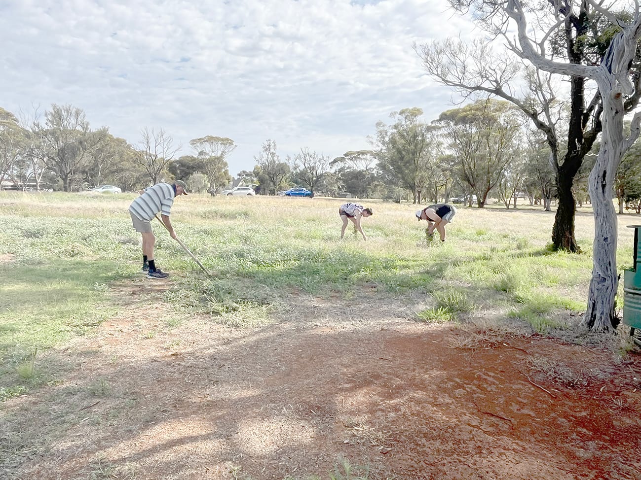 Golfers Beat the Bindii
