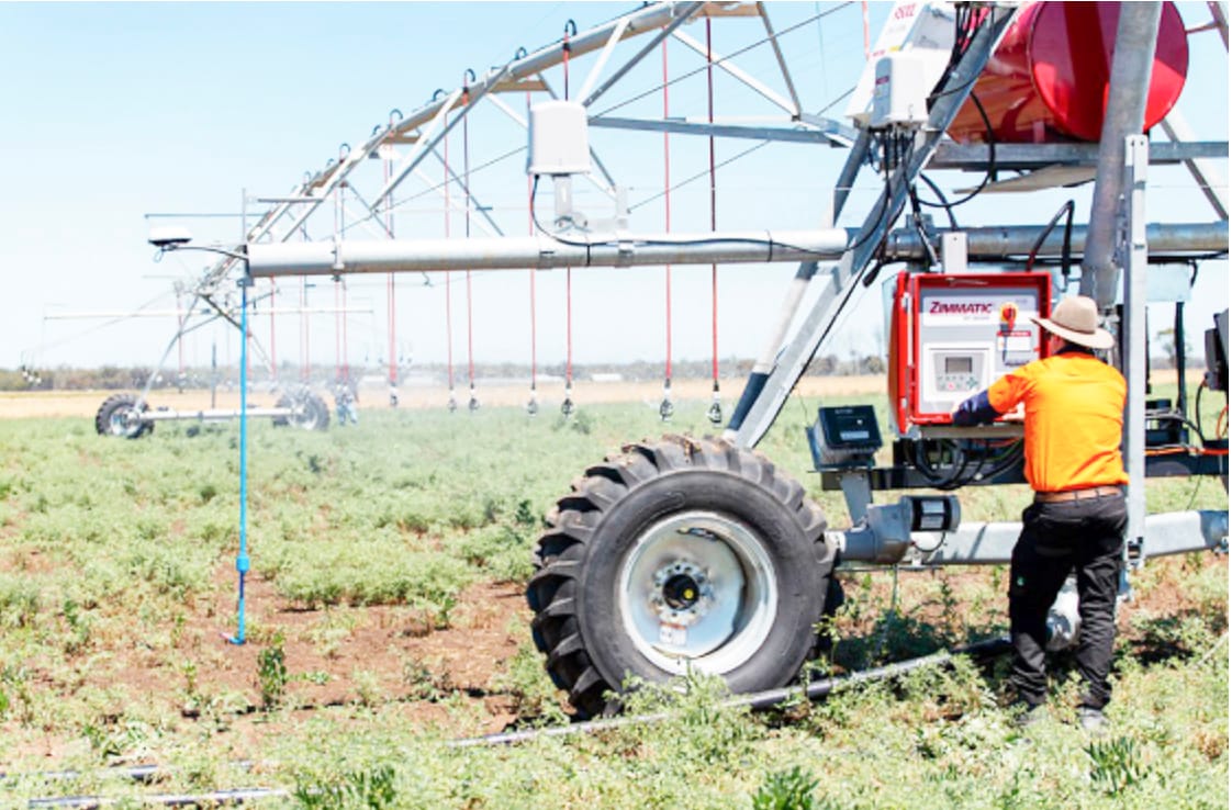 New Irrigator Improves Chickpea Disease Resistance